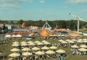 144.jpg