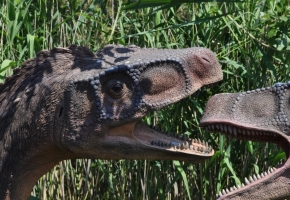 DSC_1123.jpg