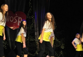 22. Finał WOŚP 12.01.2014