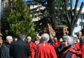 DSC_4194.jpg