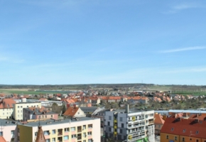 DSC_4230.jpg