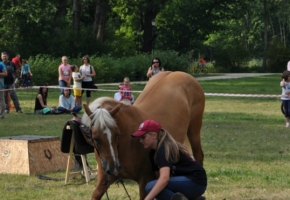 DSC_0273.jpg