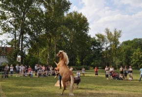 DSC_0278.jpg