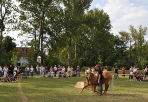 DSC_0279.jpg