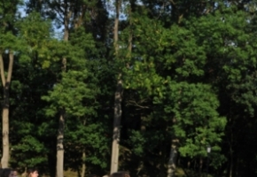 DSC_0314.jpg
