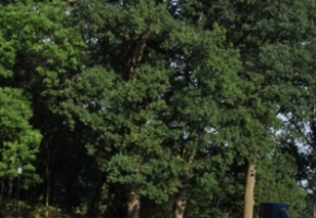 DSC_0315.jpg